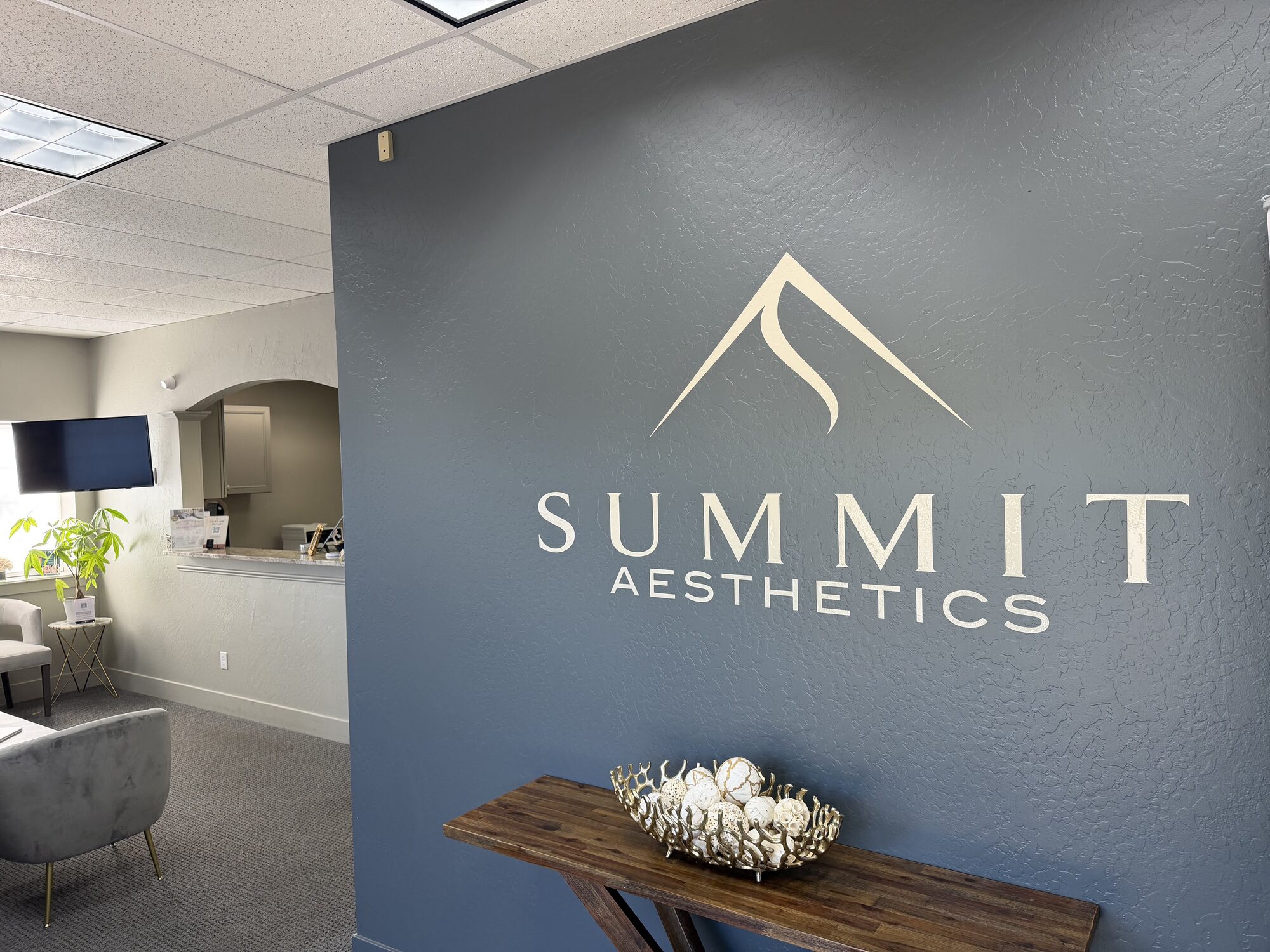 Summit Aesthetics reception and brand logo wall